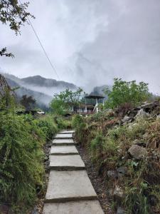 einen Weg an der Seite eines Hügels in der Unterkunft MyTribe Homestay in Manali