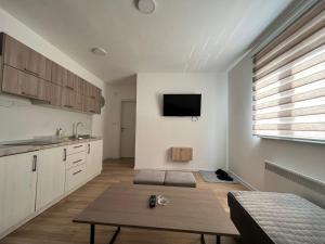 Kuchyň nebo kuchyňský kout v ubytování Deluxe NS 2