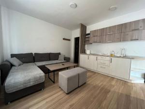 Kuchyň nebo kuchyňský kout v ubytování Deluxe NS 2