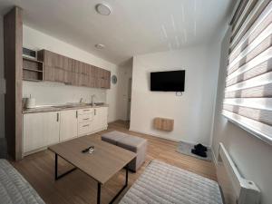 TV a/nebo společenská místnost v ubytování Deluxe NS 2