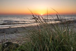 a sunset on the beach with grass in the foreground at Strandperle Appartements in Hasselberg