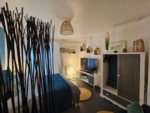 L'Appart'Mans -charmant-studio-centre ville-2 pers في لو مان: غرفة نوم فيها سرير وتلفزيون