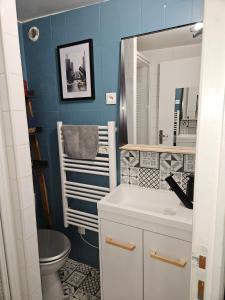 a bathroom with a sink and a toilet and a mirror at L'Appart'Mans -charmant-studio-centre ville-2 pers in Le Mans