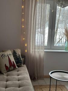 sala de estar con sofá y ventana en W deSki dom apartamenty en Krzyżowa