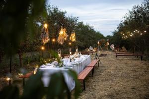 a long table with a white table cloth and lights at Casa Agricultorului Varzari in Butuceni
