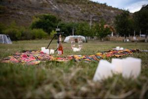 a bottle of wine and glasses on a blanket in a field at Casa Agricultorului Varzari in Butuceni