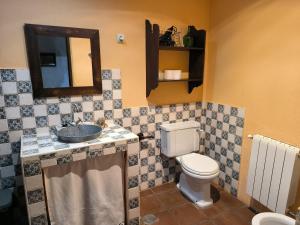 La salle de bains est pourvue de toilettes, d'un lavabo et d'un miroir. dans l'établissement Casa Rural El Botánico, à Durón