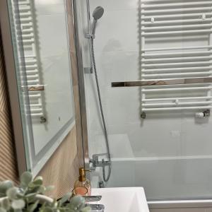 a shower in a bathroom with a sink and a mirror at TS New Town Top Apartment in Szczecin