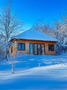 drewniany domek na śniegu z kotem z przodu w obiekcie Козацька Фортеця w mieście Pliskachevka