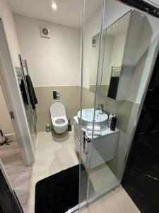 a bathroom with a toilet and a sink and a shower at Modern 1BD apartment in London