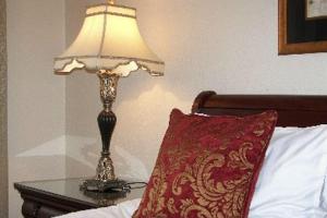 Postel nebo postele na pokoji v ubytování Hotel Phoenix