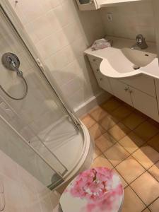 een badkamer met een douche, een toilet en een wastafel bij Ferienwohnung Waldbaden im Haus Falkenberg in Oberstdorf