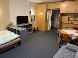 Habitación con cama y TV. en Ferienwohnung Waldbaden im Haus Falkenberg, en Oberstdorf