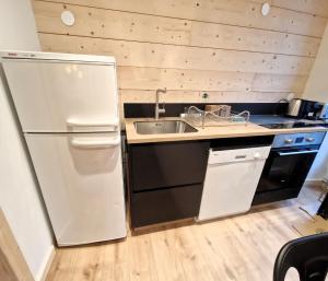 een keuken met een witte koelkast en een wastafel bij Appartement Chamonix Centre Vue MontBlanc in Chamonix-Mont-Blanc