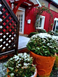 een pot bloemen voor een rood huis bij Ferienwohnung besonderer Art in Windeck