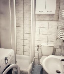 a bathroom with a toilet and a sink at Apartamenty Green Garden in Racibórz