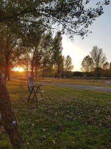 una panchina in mezzo al prato vicino a un albero di Csillagmajor a Csabrendek