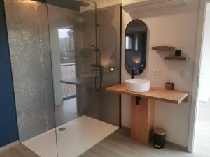 a bathroom with a shower with a sink and a mirror at Le petit gîte de Borgoumont à Stoumont in Stoumont