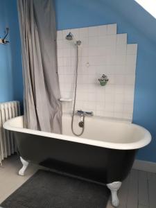 a bath tub with a shower in a bathroom at Moulins de Clan in Jaunay-Marigny