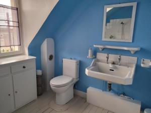 La salle de bains bleue est pourvue de toilettes et d'un lavabo. dans l'établissement Moulins de Clan, à Jaunay-Clan