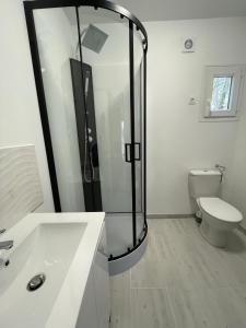 a bathroom with a shower and a toilet at Les Chalets du Mancel - Chalet Victor - 500 m Bouleries Jump , 10 min du circuit des 24h in Parence