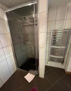 a shower with a glass door in a bathroom at Ferienwohnung Amethyst in Burgberg