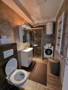 uma casa de banho com um WC, um lavatório e um chuveiro em APARTMENT MOSCOW VRBAS em Vrbas