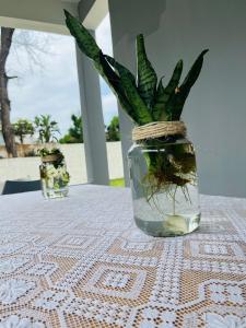 Fotografie z fotogalerie ubytování Casa Cinza v destinaci Ponta do Ouro