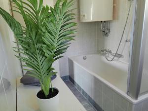 un baño con una maceta en un mostrador en Kaiserblick, en Kitzbühel 15 fotos más