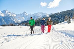 Familienferienwohnung Buerserberg Dorf by A-Appartments during the winter
