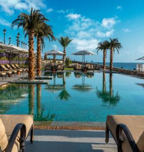 a swimming pool with palm trees and the ocean at Kaya Palazzo Resort & Casino in Kyrenia
