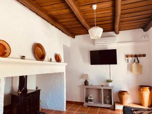 a living room with a fireplace and a tv at Complejo Rural Los Molinos 