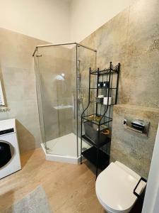 a bathroom with a glass shower and a toilet at Chabrowy - Apartamenty Smart Projekt in Tarnów