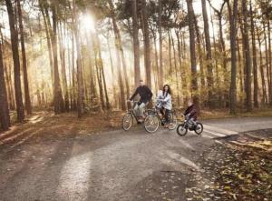 un hombre y una mujer montando bicicletas en un camino en Green Tiny House with shared pool en Zeewolde