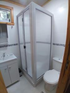 a bathroom with a shower and a toilet and a sink at Tiny House Melgarejo in San Carlos de Bariloche
