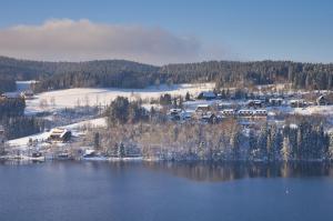 een uitzicht op een meer met met met sneeuw bedekte bomen en huizen bij Appartements Waldrose in Titisee-Neustadt