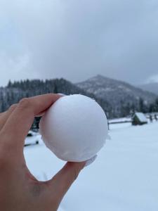 una mano sosteniendo un huevo blanco en la nieve en Nikol Guest House en Bukovel