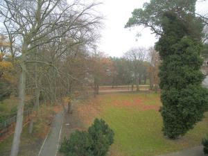 a view of a park with trees and a field at Tarnowskis Villa Seeblick, nur 50m zum Strand, WLAN inkl in Neuhof