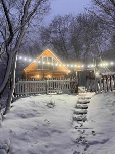 Wooden House Kopiti semasa musim sejuk