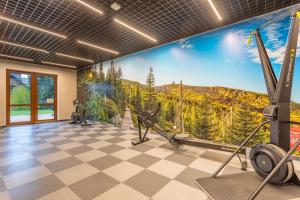 einen Fitnessraum mit einem großen Wandbild eines Berges in der Unterkunft Apartament basen sauna Revisit Szklarska in Szklarska Poręba