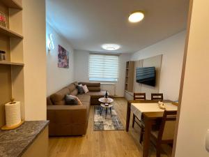 TV a/nebo společenská místnost v ubytování Apartman Srna 303 Jahorina