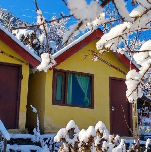 a house covered in snow with snow covered trees at Homestay Nature Auli in Joshīmath