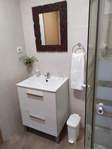 Alojamiento Oviedo 1 في أوفِييذو: حمام مع حوض ومرحاض ومرآة