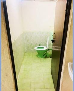 a bathroom with a green toilet and a sink at Homestay Nature Auli in Joshīmath