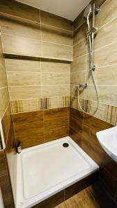 a bathroom with a shower and a sink at Carpe Diem Privat Guesthouse in Hermina-major