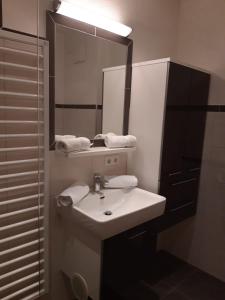 a bathroom with a sink and a mirror at Gasthof Pension Hetzenbichl in Sankt Johann im Pongau