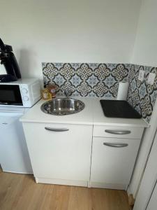 eine kleine Küche mit einer Spüle und einer Mikrowelle in der Unterkunft Studio 2 personnes - Bouleries Jump - 24H du Mans in Parence