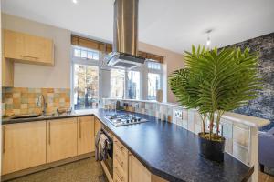 a kitchen with a island with a plant on it at Central Hackney Abode - Balcony in London
