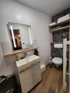 a bathroom with a sink and a toilet and a mirror at Le domaine de Bachmay in Laval