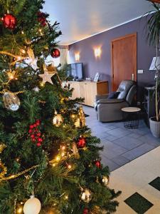 Un árbol de Navidad en una sala de estar en Gîte Wibrin-Achouffe, en Houffalize
